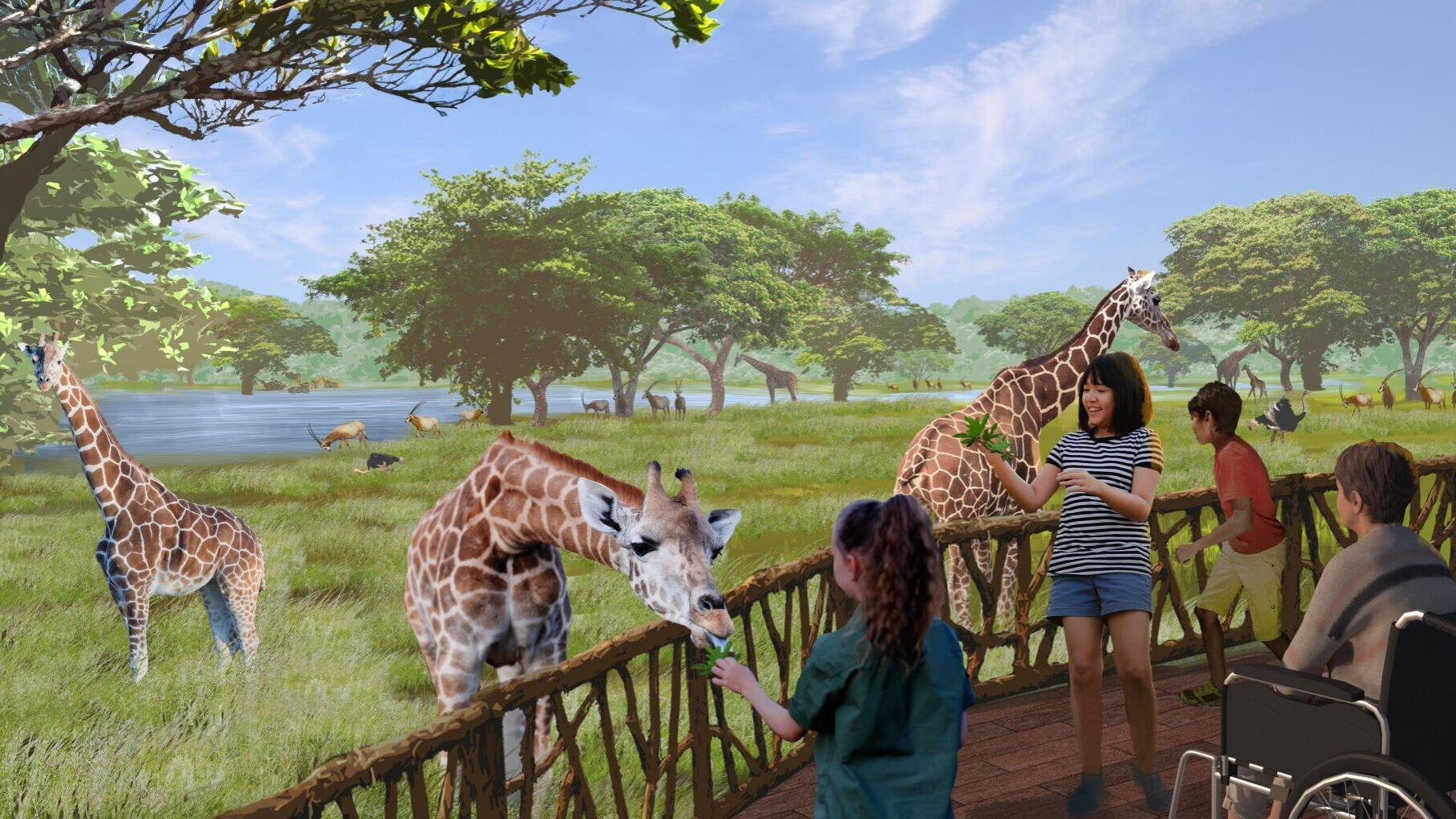 Safaris, glamping, tower ride: St. Louis Zoo reveals details of WildCare Park
